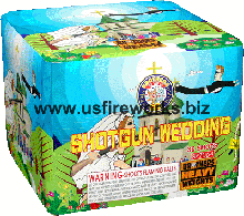 Fireworks - 200G Multi-Shot Cake Aerials - SHOTGUN WEDDING