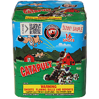 Fireworks - 200G Multi-Shot Cake Aerials - Catapult 200g Fireworks Cake