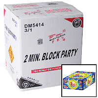 Fireworks - Wholesale Fireworks - 2 Min Block Party 500g Wholesale Case 3/1