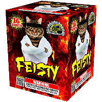 Fireworks - 200G Multi-Shot Cake Aerials - Feisty