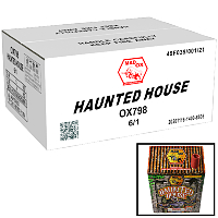 Fireworks - Wholesale Fireworks - Haunted House Fountain Wholesale Case 6/1