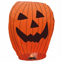 dm1110-pk-skylanterns-pumpkin