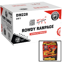 Rowdy Rampage 200g Wholesale Case 24/1 Fireworks For Sale - Wholesale Fireworks 