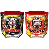 Tough Guys 200g Fireworks Cake Fireworks For Sale - 200G Multi-Shot Cake Aerials 