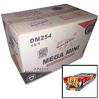 dm254-megamini-case