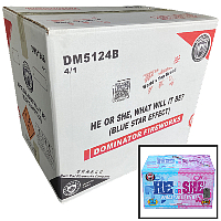 He or She What Will it Be? Boy 500g Wholesale Case 4/1 Fireworks For Sale - Wholesale Fireworks 