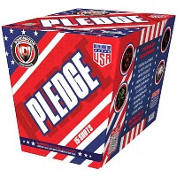 Pledge 500g Fireworks Cake Fireworks For Sale - 500G Firework Cakes 