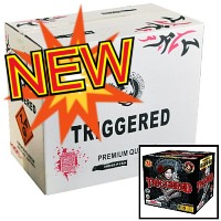 Fireworks - Wholesale Fireworks - Triggered 500g Wholesale Case 4/1