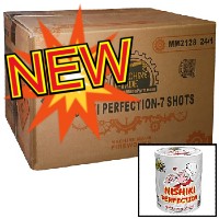 Fireworks - Wholesale Fireworks - Nishiki Perfection 200g Wholesale Case 24/1